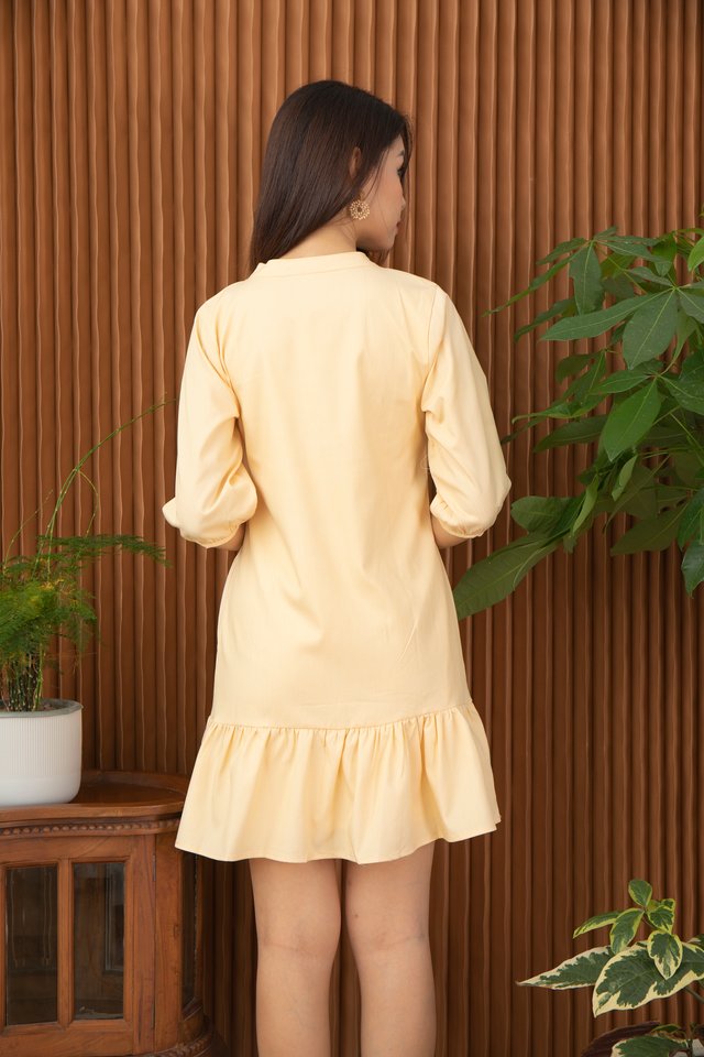 Fenya Mandarin Collar Drop Waist Dress in Macaroon